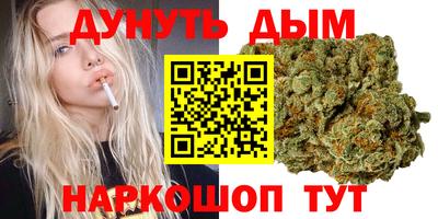 индика Лесосибирск