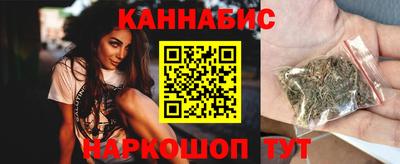 индика Лесосибирск