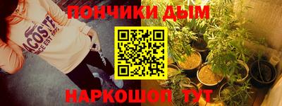индика Лесосибирск