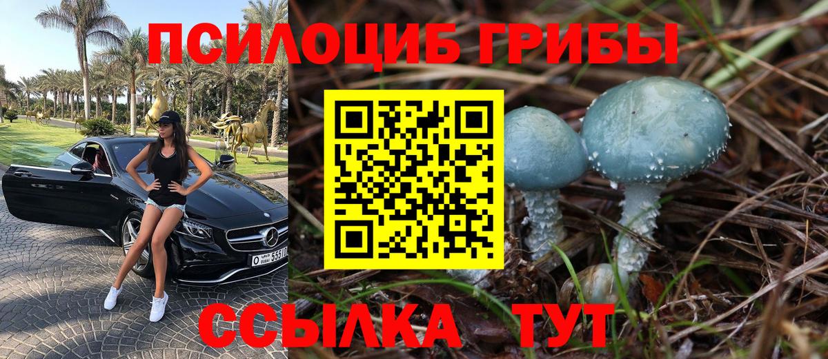Стерлитамак  Галлюциногенные грибы мицелий  Вход с VPN 
